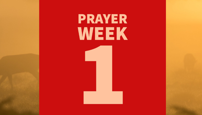 40 Days of Prayer for Healing & Reconciliation: WEEK 1