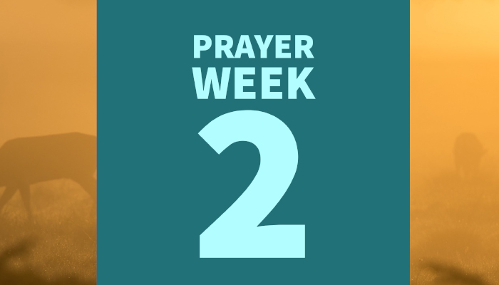 40 Days of Prayer for Healing & Reconciliation: WEEK 2