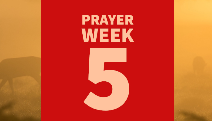 40 Days of Prayer for Healing & Reconciliation: WEEK 5