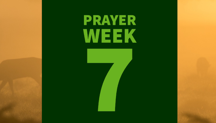 Bless the Nation 50 Days of Prayer: WEEK 7